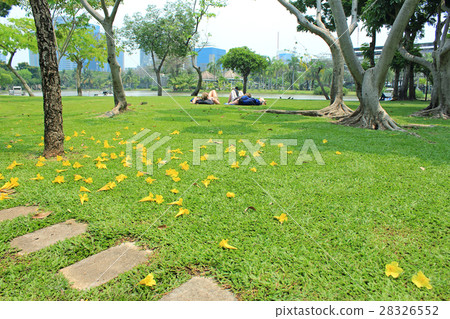 Women relaxing on the grass Women relaxing on the grass 28326552