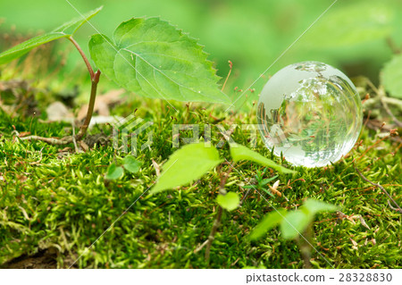 玻璃的地球圖像 28328830
