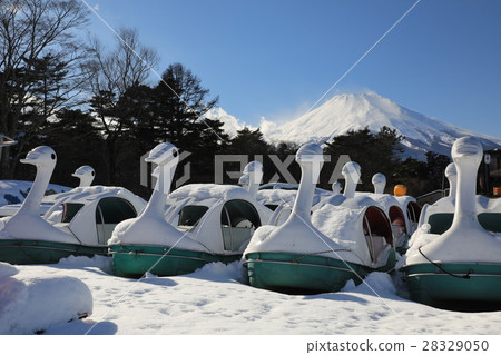 The lake of swan 28329050