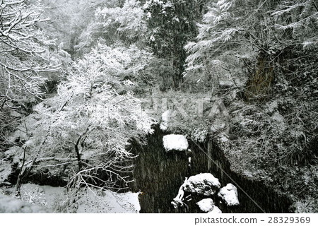 冬天 28329369