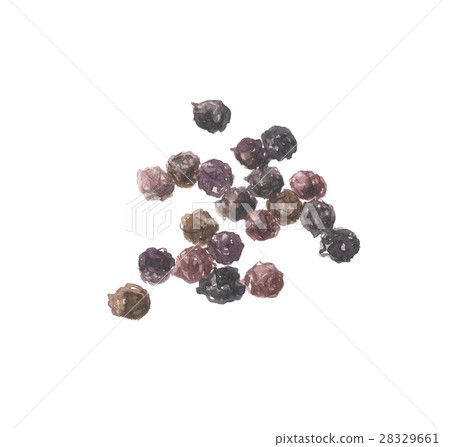 Black pepper fruit 28329661