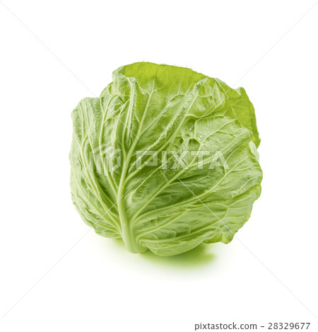 Spring cabbage 28329677