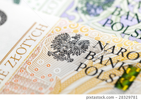 Polish Zloty closeup Polish Zloty closeup 28329781