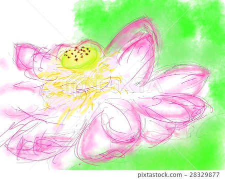 蓮花圖 28329877