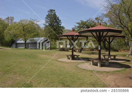 多摩山Miyako Naganuma公園的春天是八王子市 28330866