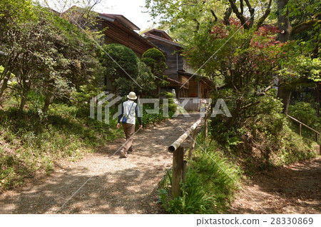 多摩山Miyako Naganuma公園的春天是八王子市 多摩山Miyako Naganuma公園的春天是八王子市 28330869
