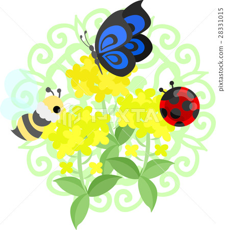 A beautiful rape flower illustration 28331015