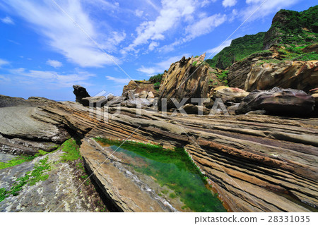 Northeast coast, rock, sea dog stone Northeast coast, rock, sea dog stone 28331035
