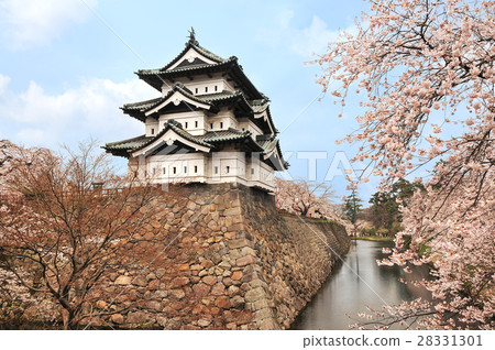 Hirosaki castle and the cherry tree 28331301