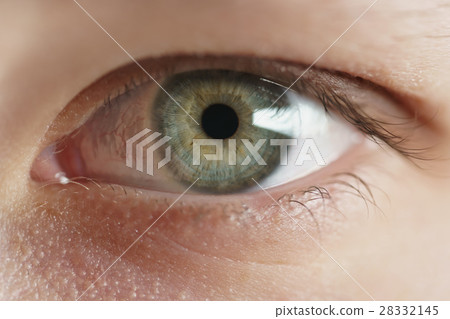 Closeup of teenage girl eye without makeup looking straight Closeup of teenage girl eye without makeup looking straight 28332145