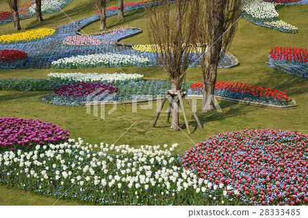 春天明石海峽公園 春天明石海峽公園 28333485