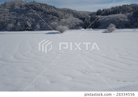 在雪原的農村地區 28334556