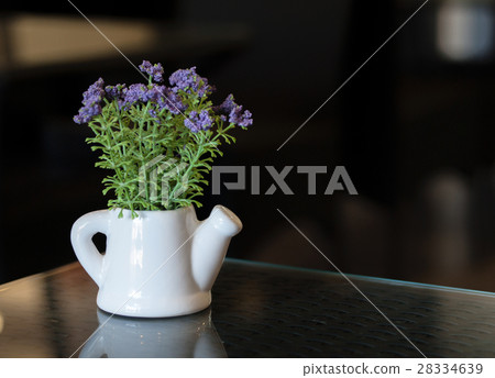 SMALL PLANT POTTED IN WATERING POT ON TABLETOP 28334639