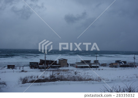 Ayakazawa Grilled Squid Street Ayakazawa Grilled Squid Street 28335032