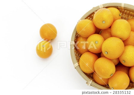 Fruit cucumber origin: Miyazaki prefecture ripe kumquat 28335132
