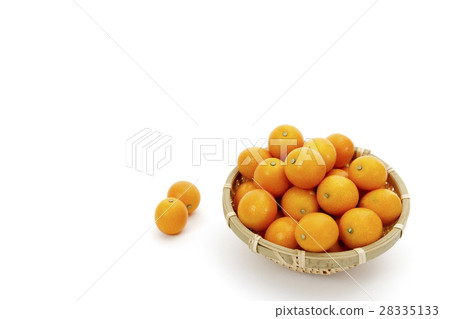 Fruit cucumber origin: Miyazaki prefecture ripe kumquat 28335133