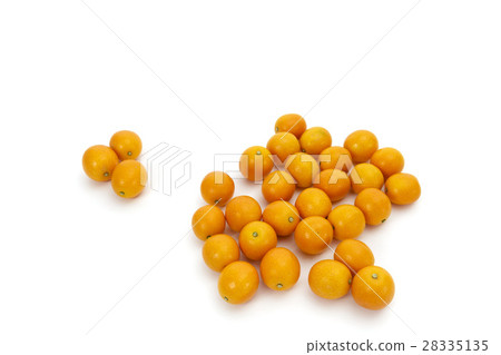 水果黃瓜產地：宮崎縣成熟金橘 28335135