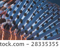 Fish fin 28335355
