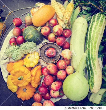 vegetables and fruits heap, autumn still life 28335903