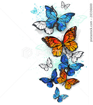 Flying butterflies morpho and monarch 28336600