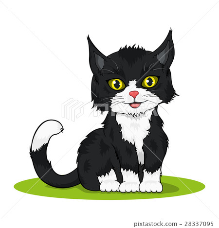 small cute kitten small cute kitten 28337095