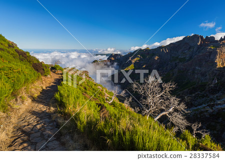 Hiking Pico do Arierio - Madeira Portugal 28337584