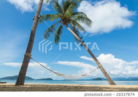 Beach stretcher Beach stretcher 28337674