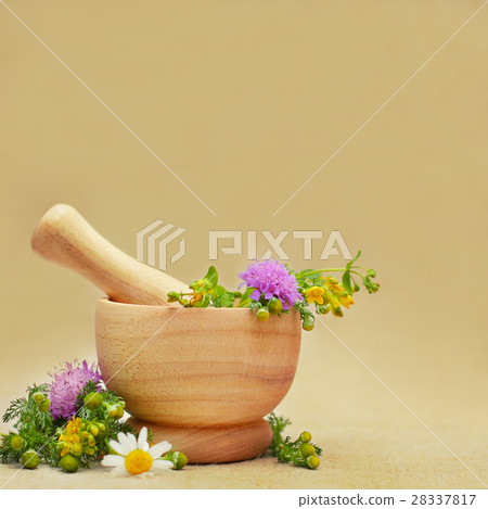Herbal medicine or treatment background  28337817