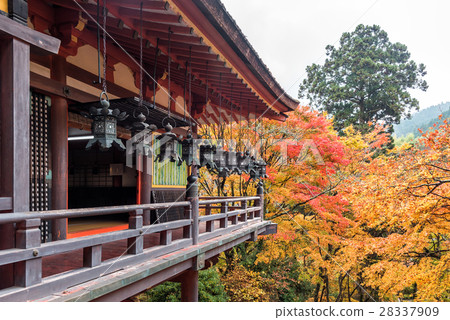 Tanzan Shrine in autumn, Nara Prefecture, Japan 28337909