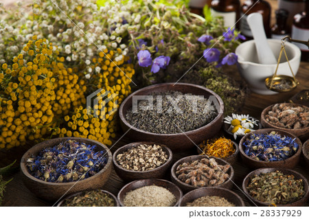 Healing herbs on wooden table, mortar and herbal  28337929
