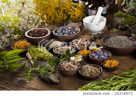 Alternative medicine, dried herbs and mortar  28338073