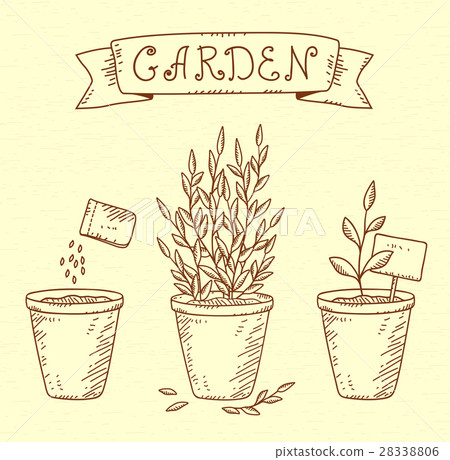 plants in pots 28338806