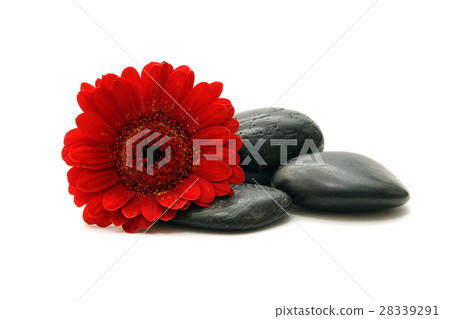 stone with flowers stone with flowers 28339291