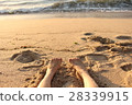 沙灘和腳 28339915