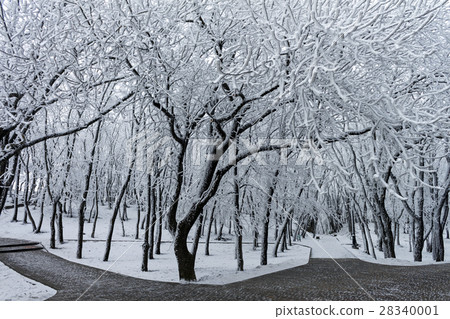 In Winter Park. 28340001