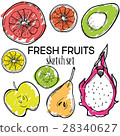 Fresh fruits vector sketch set. Hand drawn design 28340627