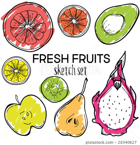 Fresh fruits vector sketch set. Hand drawn design Fresh fruits vector sketch set. Hand drawn design 28340627
