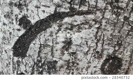 Wood texture background with natural pattern. Wood texture background with natural pattern. 28340732