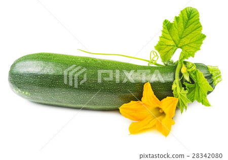Courgette with blossoms isolated 28342080
