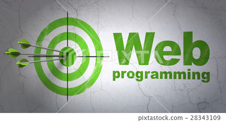 Web design concept: target and Web Programming on 28343109