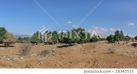 Nature Landscape in the Golan Heights 28343551