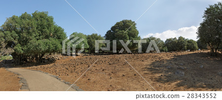 Nature Landscape in the Golan Heights 28343552