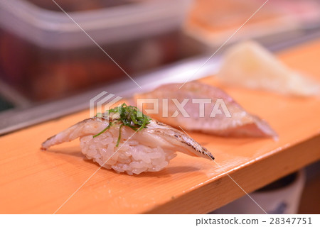Tsukiji Tsukiji HisashiTsukasa Large Chuo-ku Tokyo Japan Tsukiji Tsukiji HisashiTsukasa Large Chuo-ku Tokyo Japan 28347751
