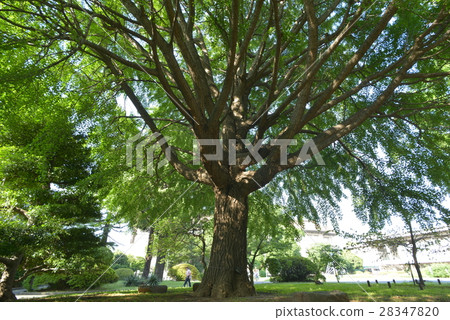 Tokyo National Museum Tokyo National Museum 28347820