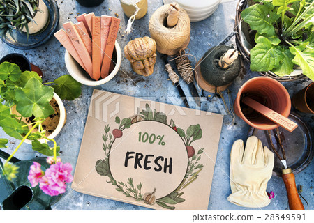 Fresh nutritious green natural heathy Fresh nutritious green natural heathy 28349591
