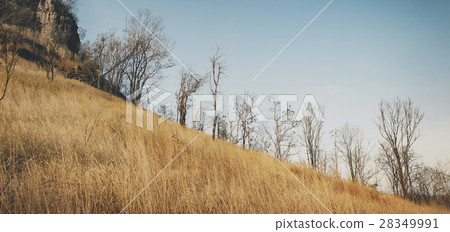 Field Hill Autumn Countryside Concept Field Hill Autumn Countryside Concept 28349991