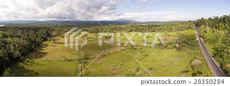 Aerial panorama of a cattle farm in the Amazon 28350284