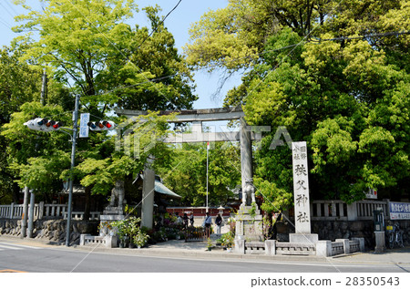 Chichibu Shrine Chichibu Shrine 28350543