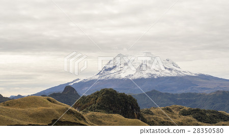 The snowcapped Antisana Volcano, Ecuador 28350580