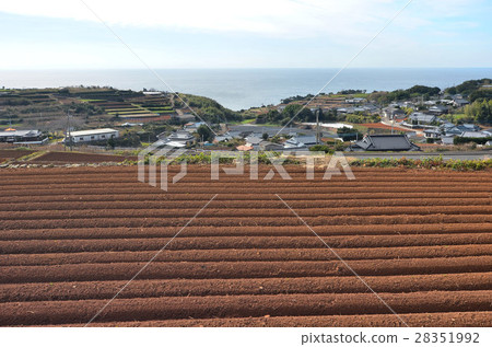 Nagashima's Terraced Field 28351992